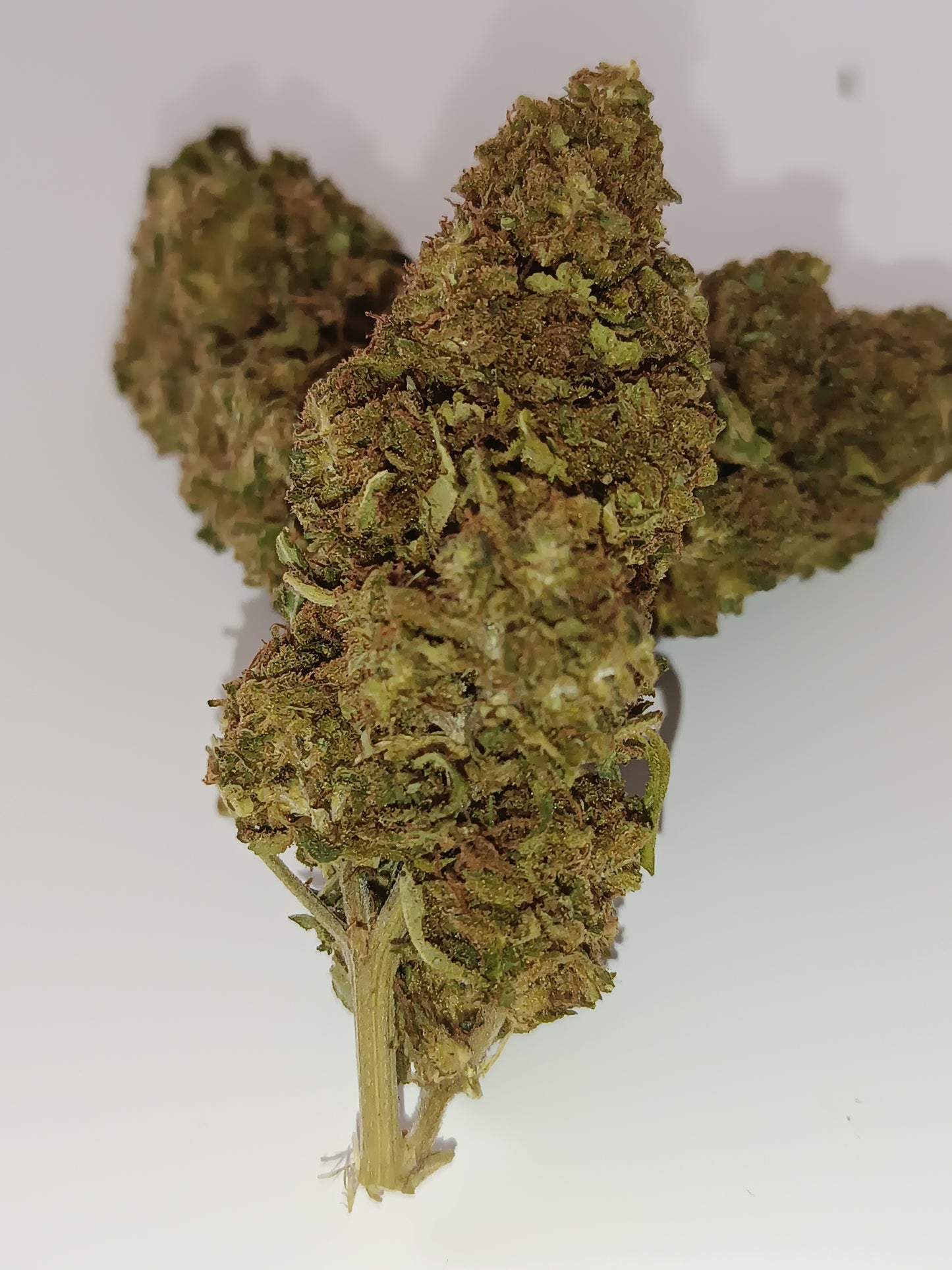 Wedding Cake CBD - Indoor (en intérieur)
