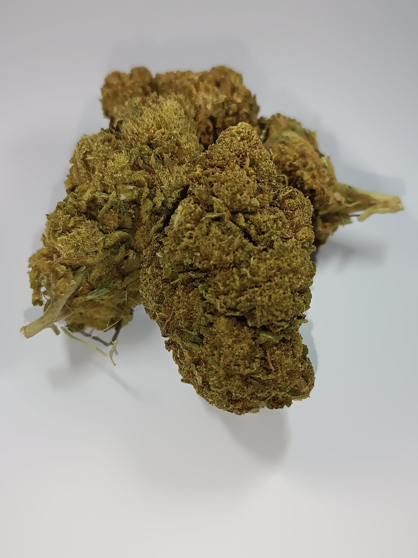 White Widow CBD - Greenhouse (sous-serre)
