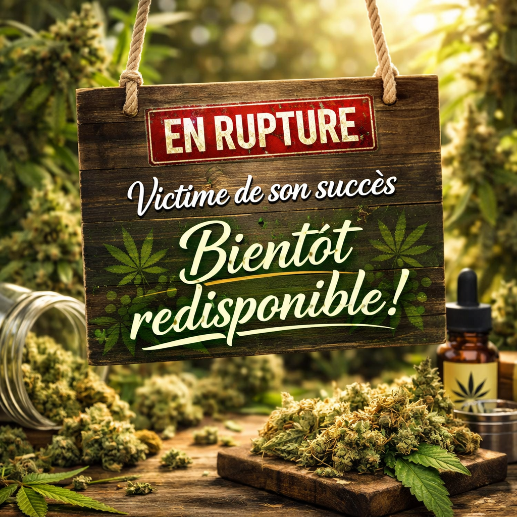 Strawberry CBD - Greenhouse (sous-serre)