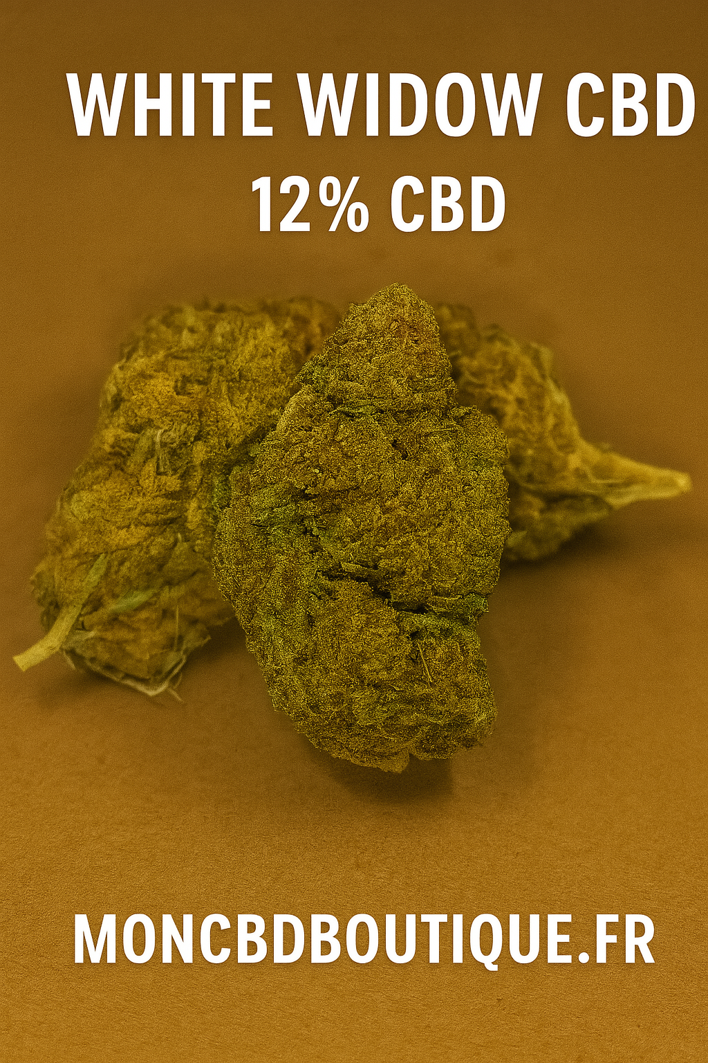 White Widow CBD - Greenhouse (sous-serre)