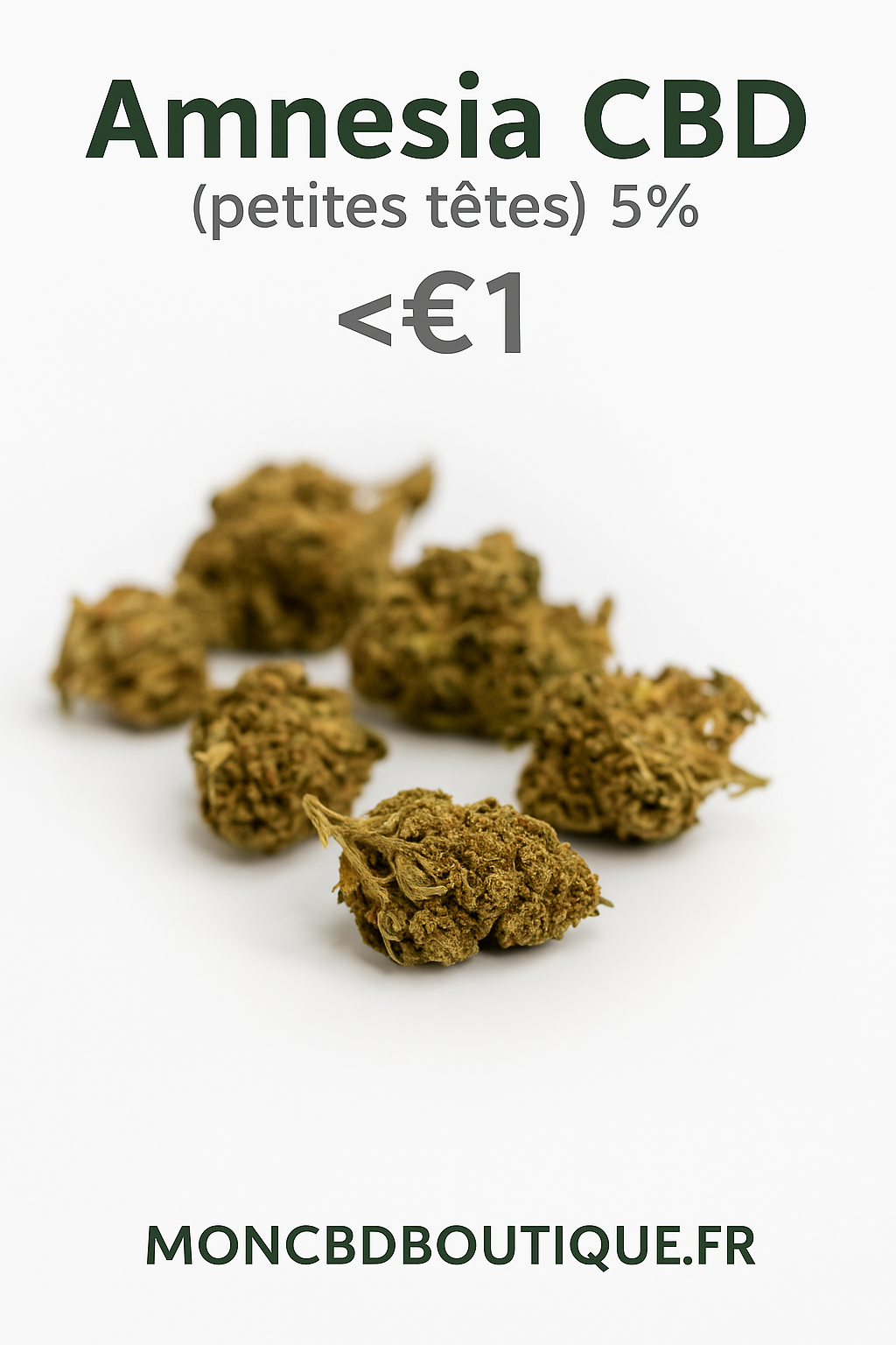 Amnesia CBD ( petites têtes) - Greenhouse (sous-serre)
