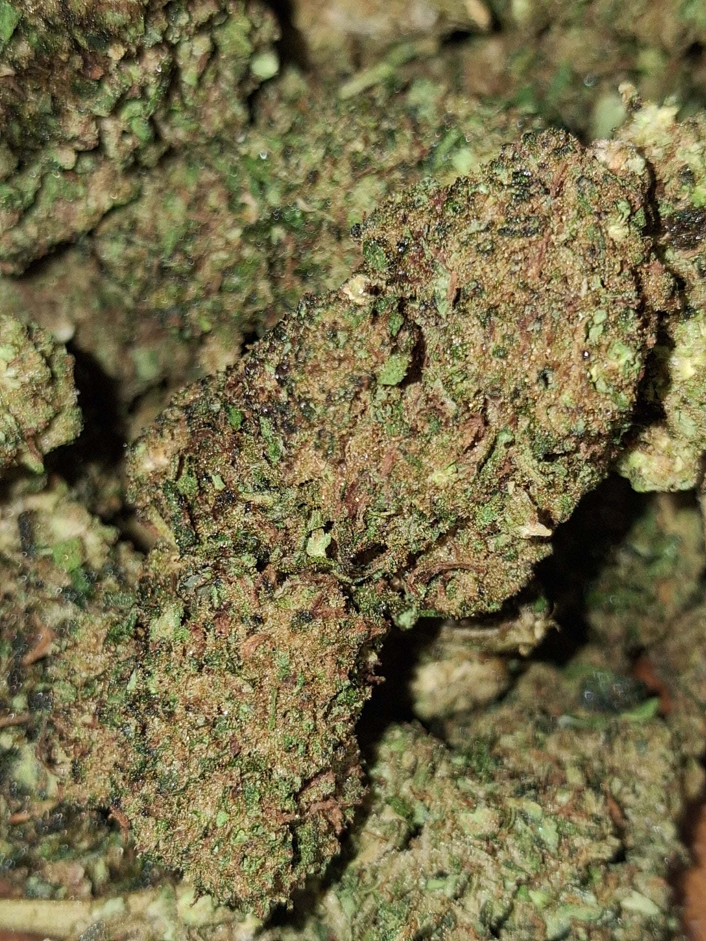 Wedding Cake - Greenhouse (sous-serre)