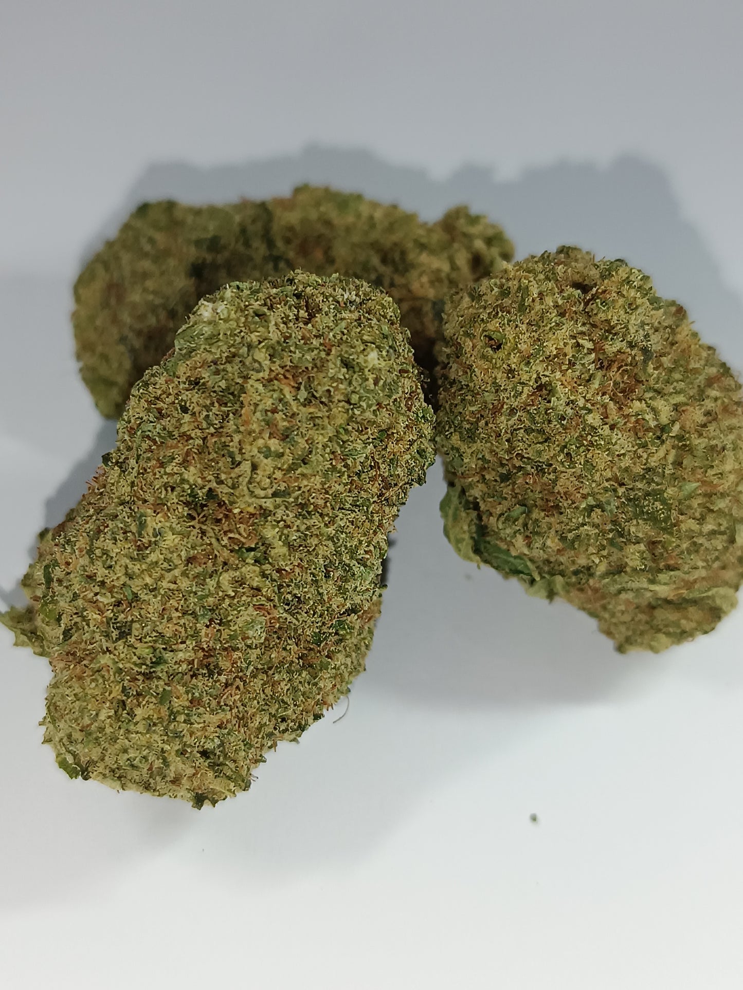 CALI CBD - Indoor Hydroponie (en intérieur)