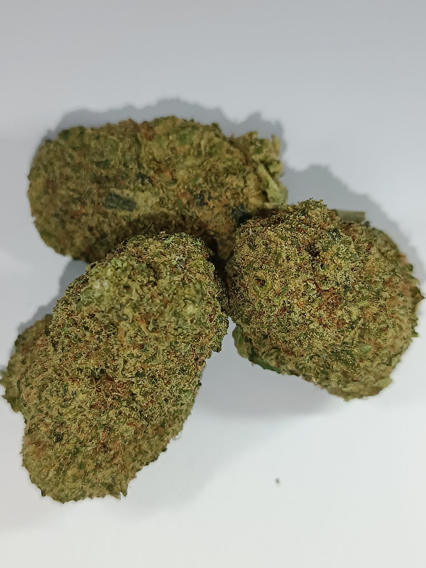 CALI CBD - Indoor Hydroponie (en intérieur)