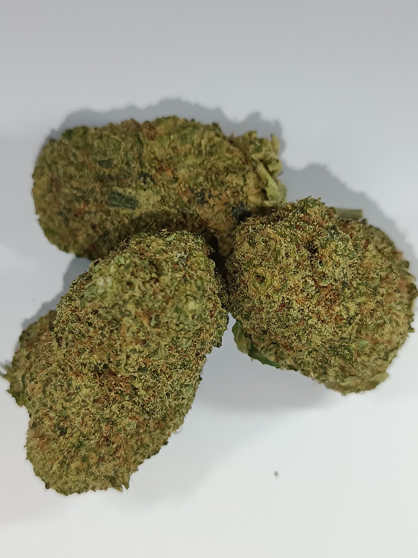 CALI CBD - Indoor Hydroponie (en intérieur)