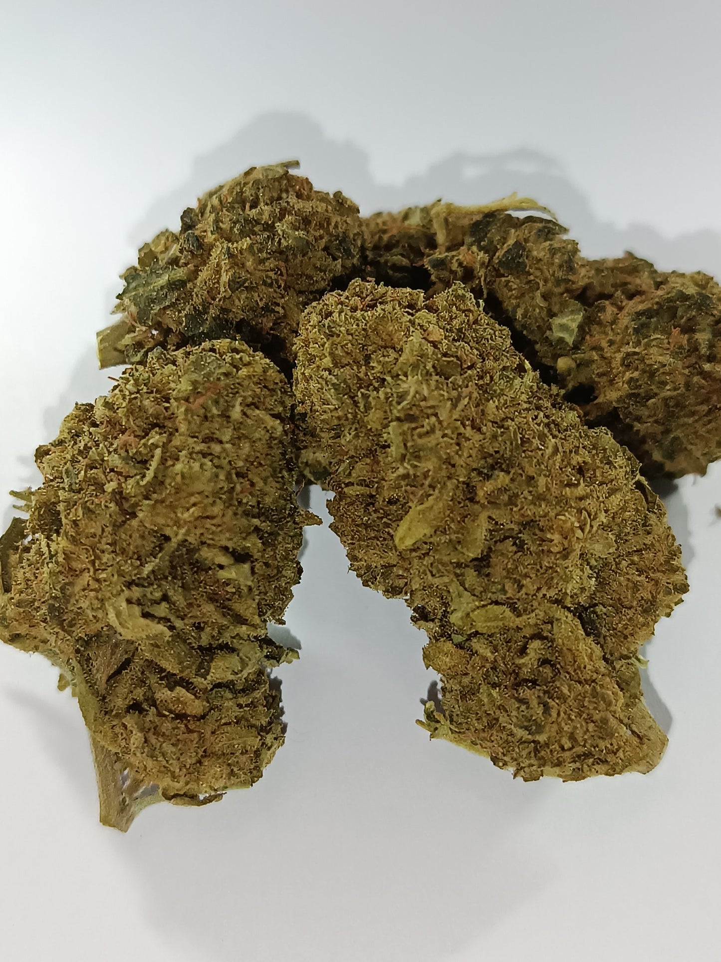 Critical CBD - Greenhouse (sous-serre)