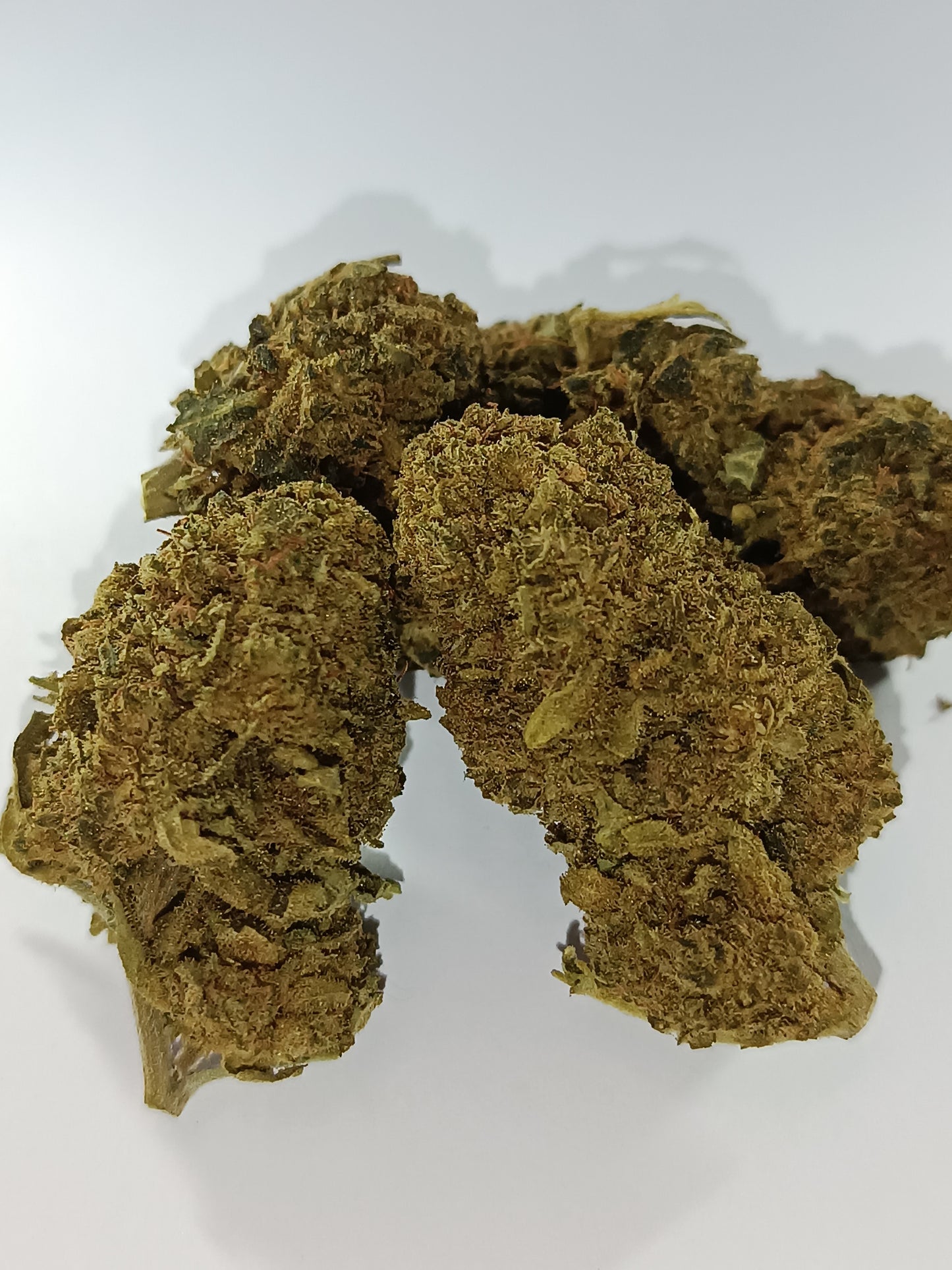 Critical CBD - Greenhouse (sous-serre)