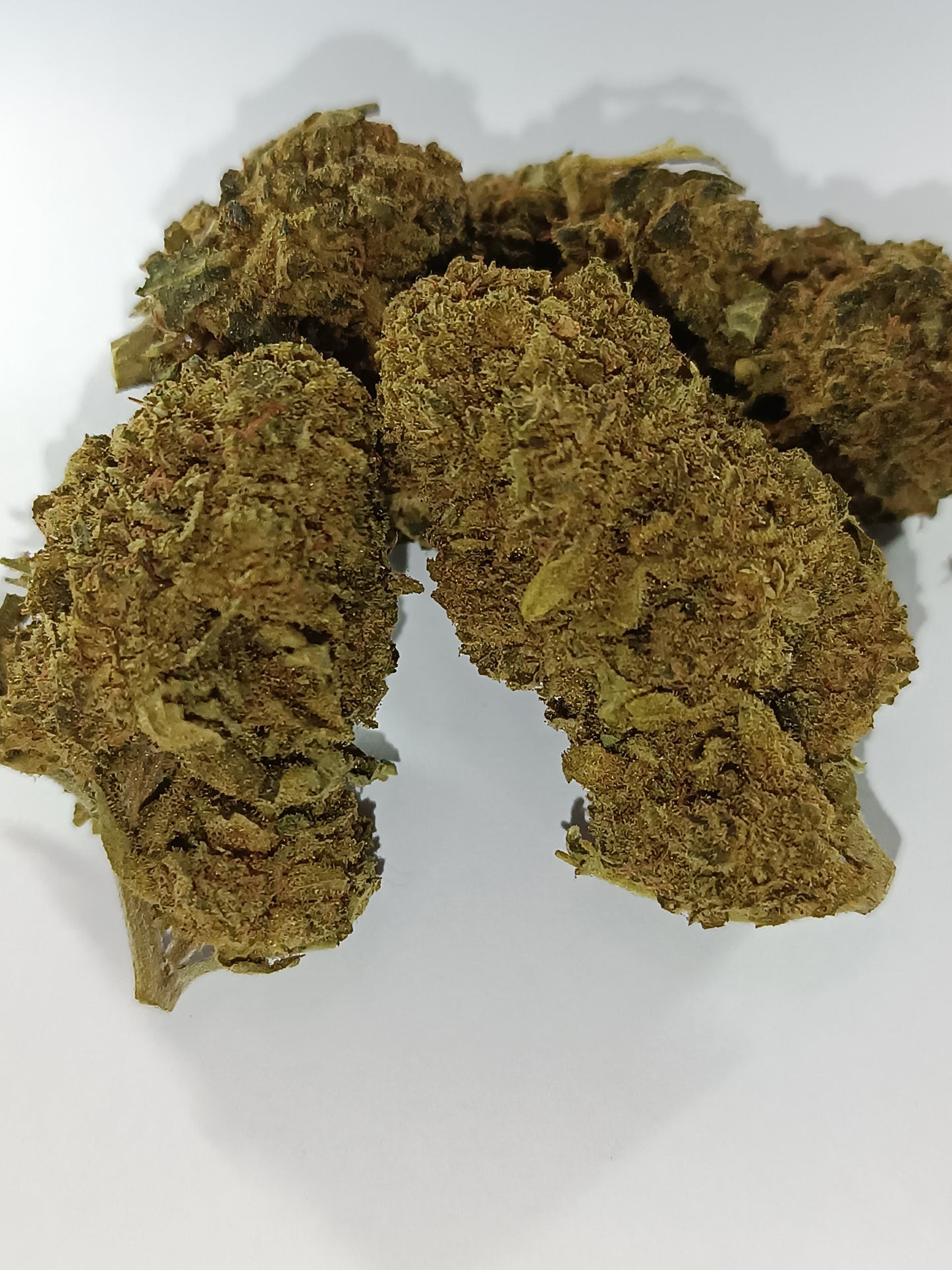 Critical CBD - Greenhouse (sous-serre)