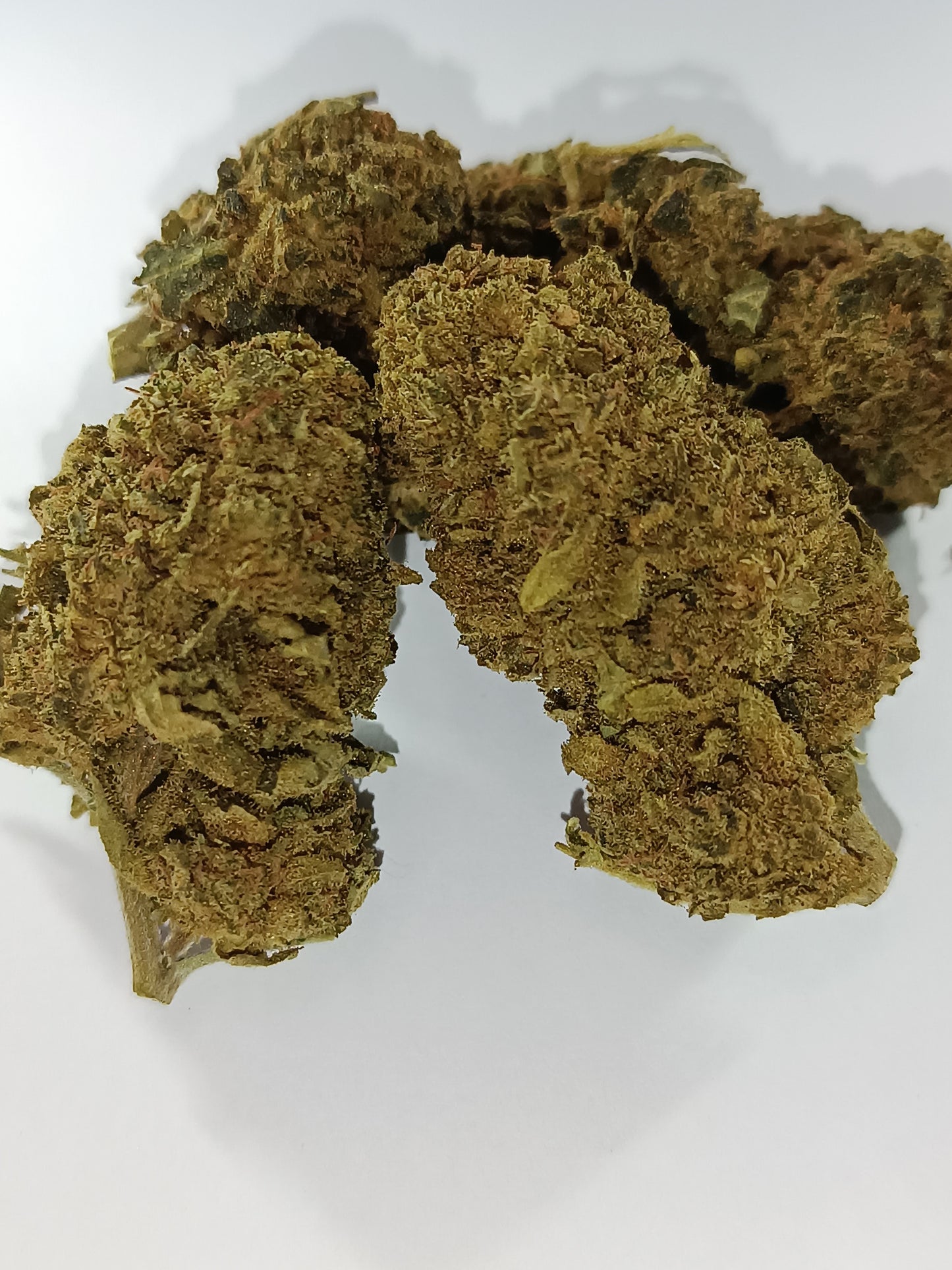 Critical CBD - Greenhouse (sous-serre)