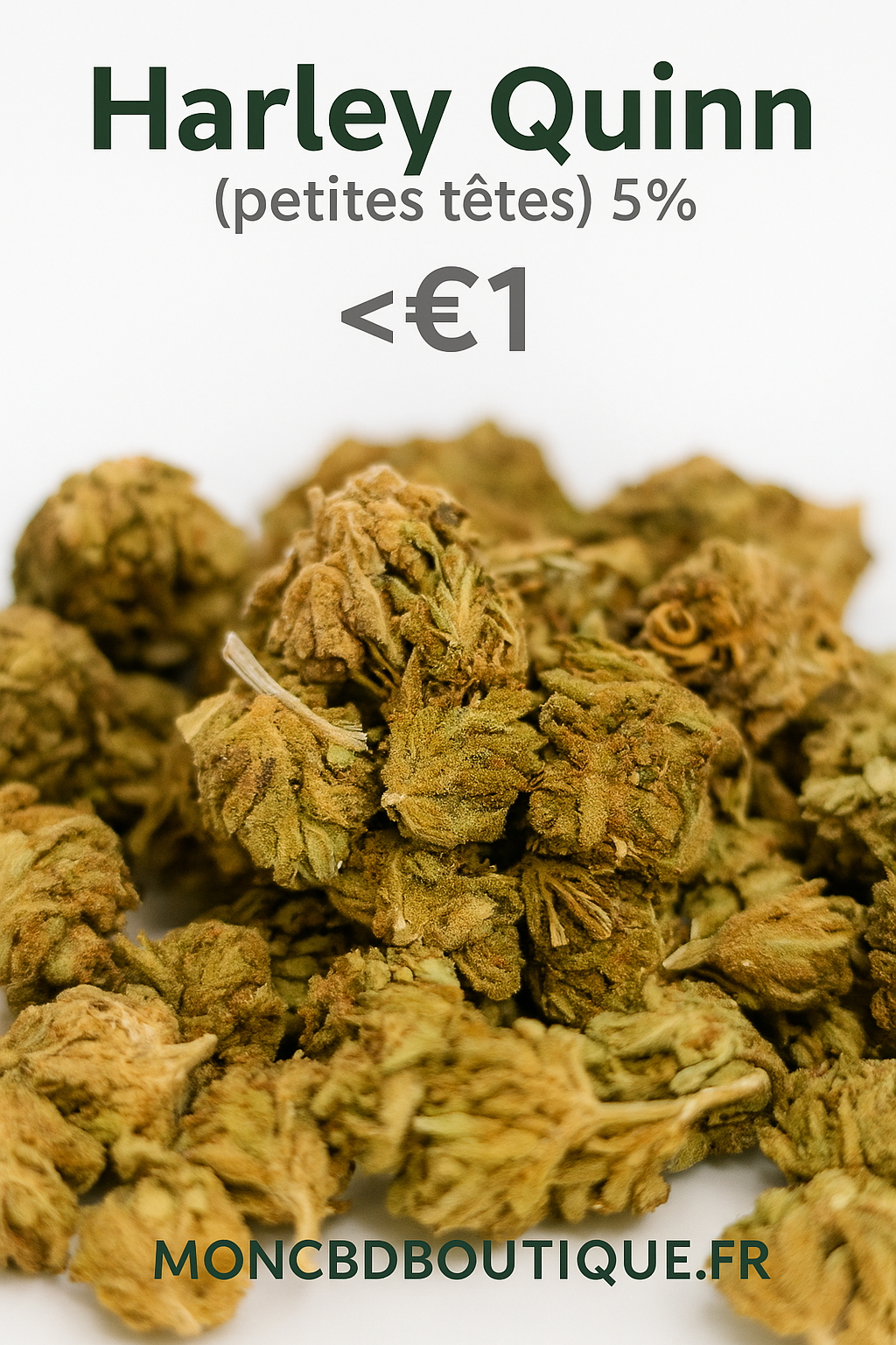 Harley Quinn CBD (petites têtes)-Greenhouse (sous-serre )