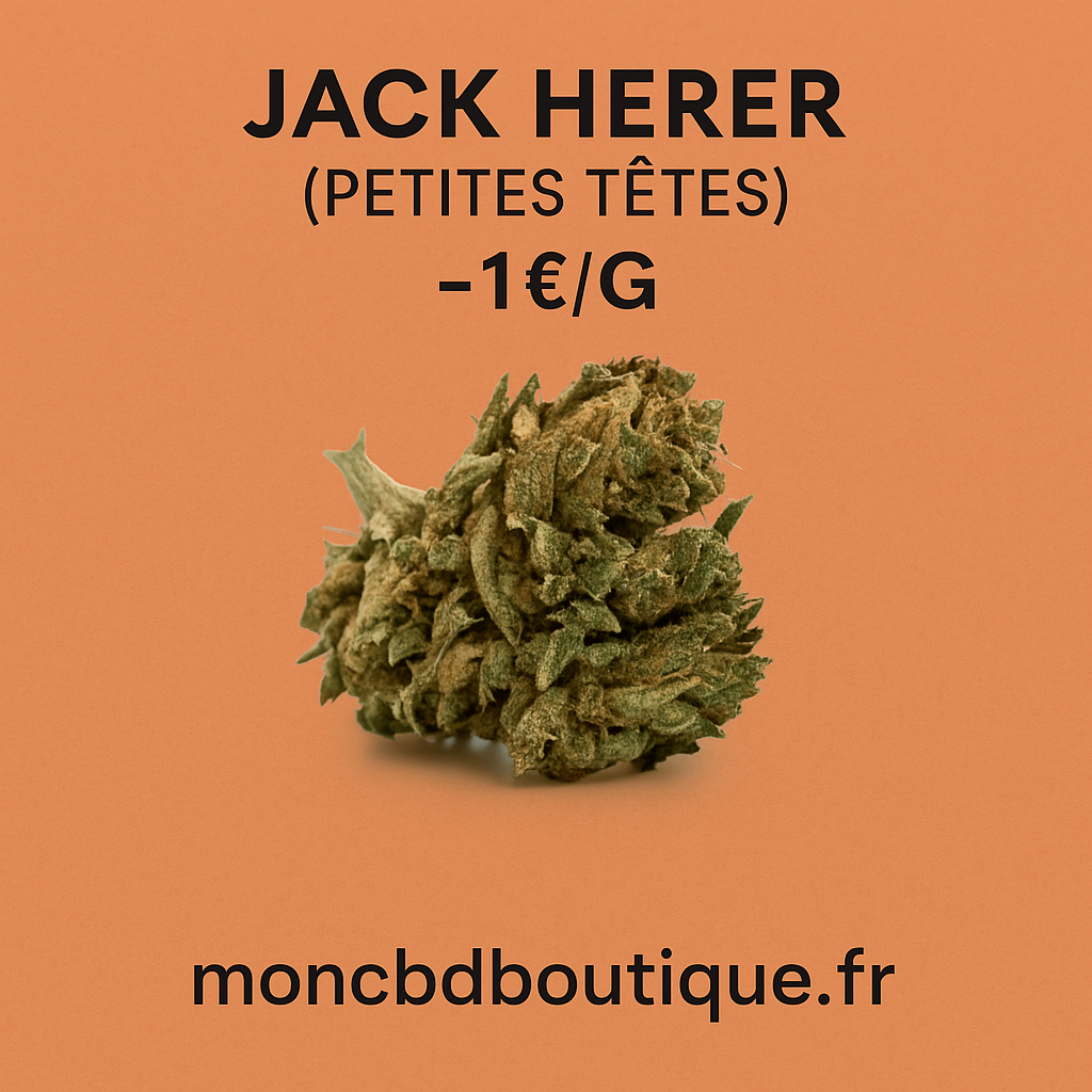 Jack Herer CBD(petites têtes)-Greenhouse (sous-serre )
