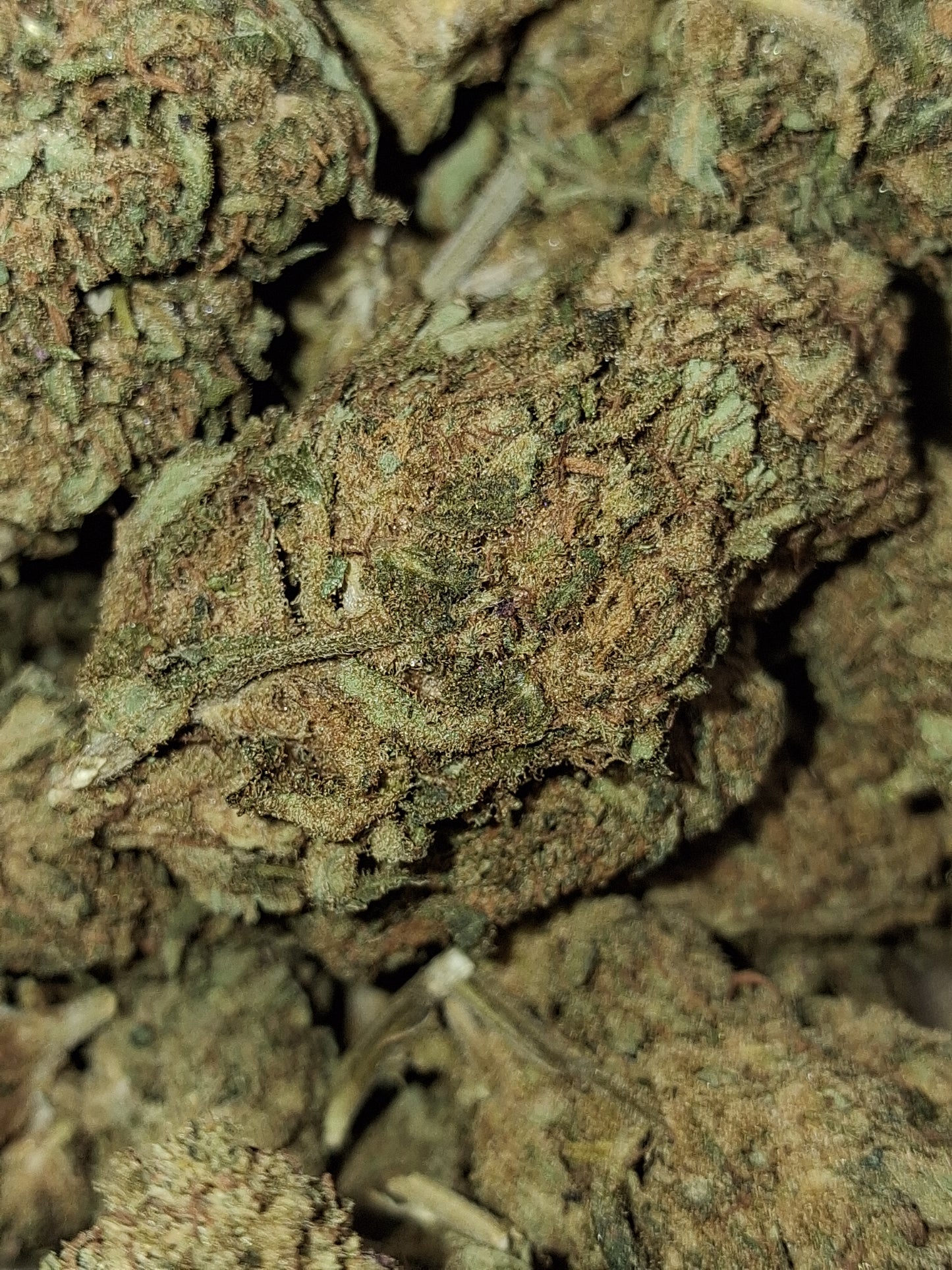Sour Diesel CBD - Greenhouse (sous-serre)