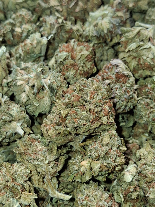 White Rhino CBG-Greenhouse (sous-serre )