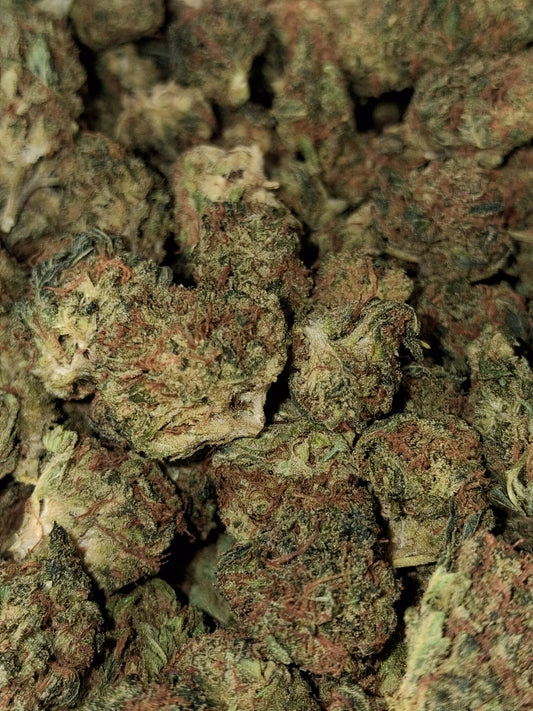 Lemon US CBD - Glasshouse (sous-serre en verre)