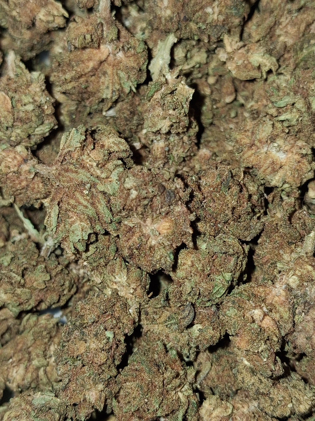 Wedding Cake CBD - Greenhouse (sous-serre)
