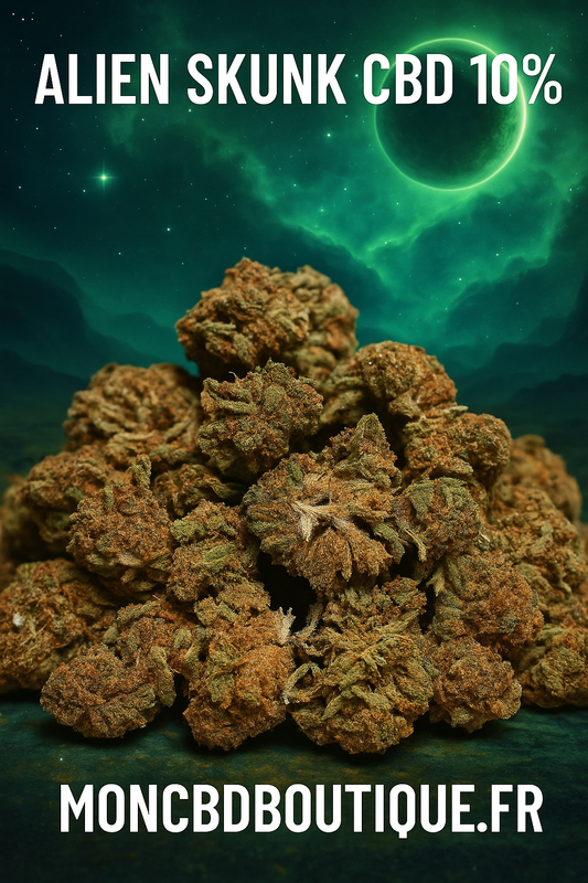 ALIEN SKUNK CBD(petites têtes)-Greenhouse (sous-serre )