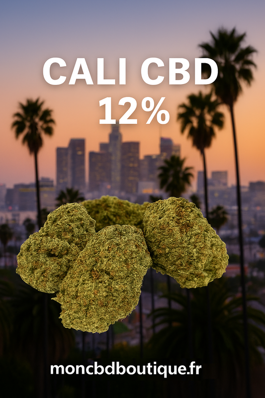 CALI CBD - Indoor Hydroponie (en intérieur)