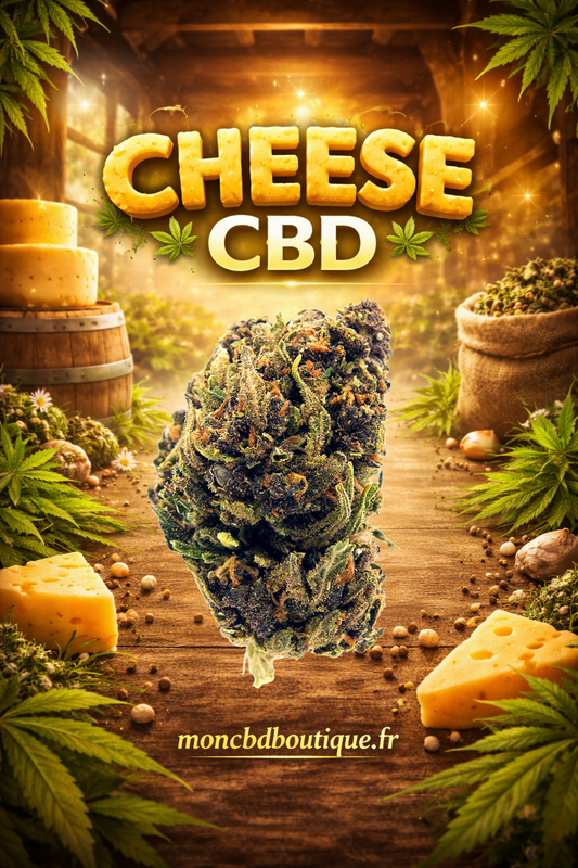 Cheese CBD - Greenhouse (sous-serre)