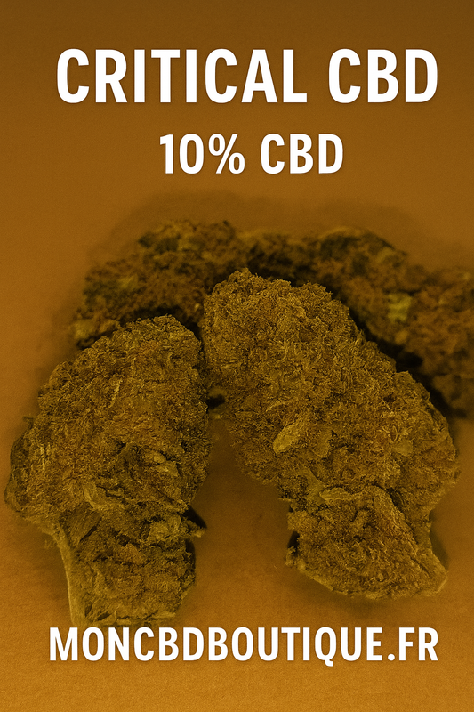 Critical CBD - Greenhouse (sous-serre)