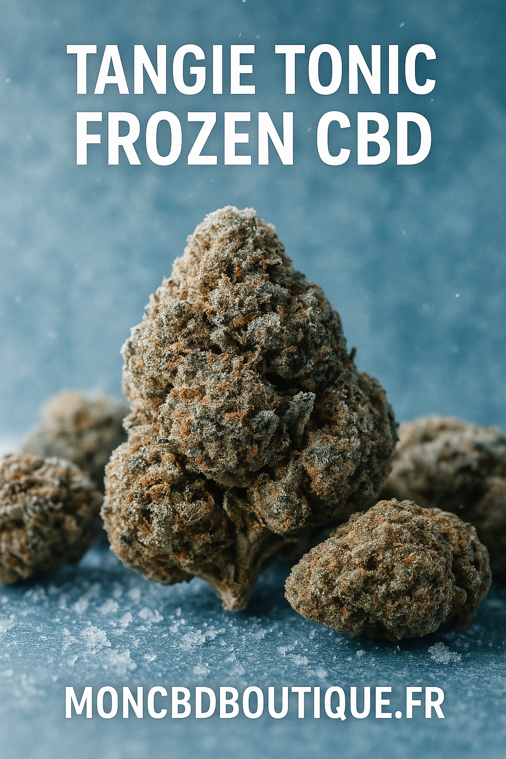 Tangie Tonic Frozen CBD -  Greenhouse (sous-serre )