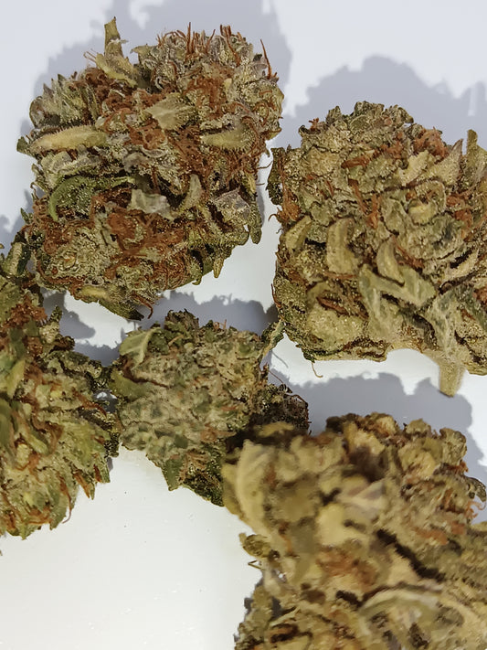 White Rhino CBG - Greenhouse (sous-serre )