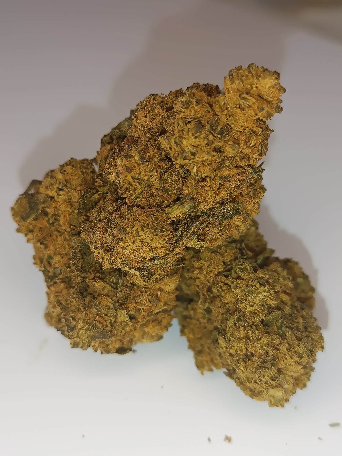 Cannaberry CBD - Indoor (en intérieur)
