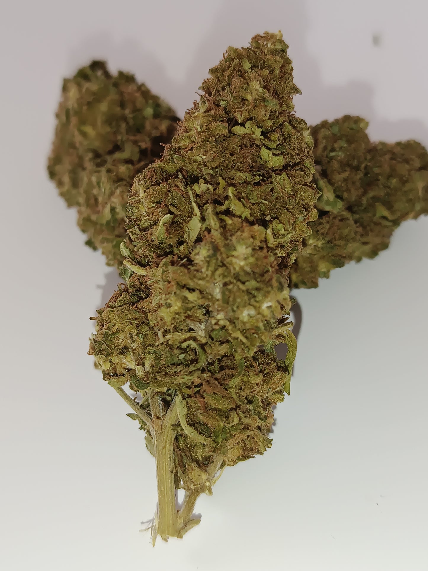 Wedding Cake CBD - Indoor (en intérieur)