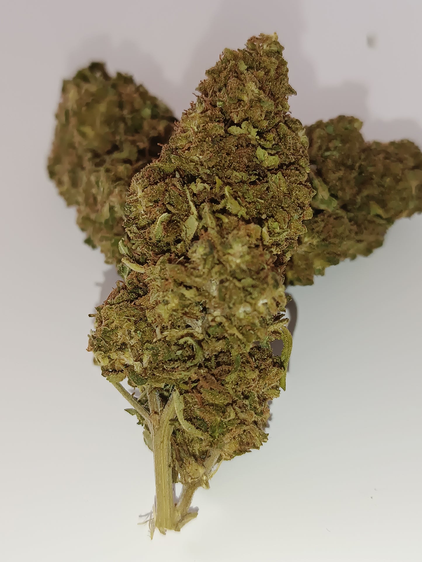 Wedding Cake CBD - Indoor (en intérieur)