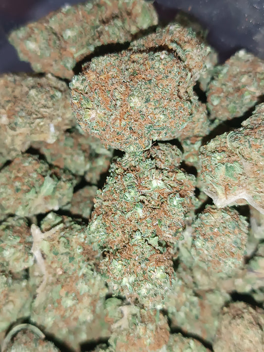 Zkittlez CBD - Indoor Hydroponie (en intérieur)