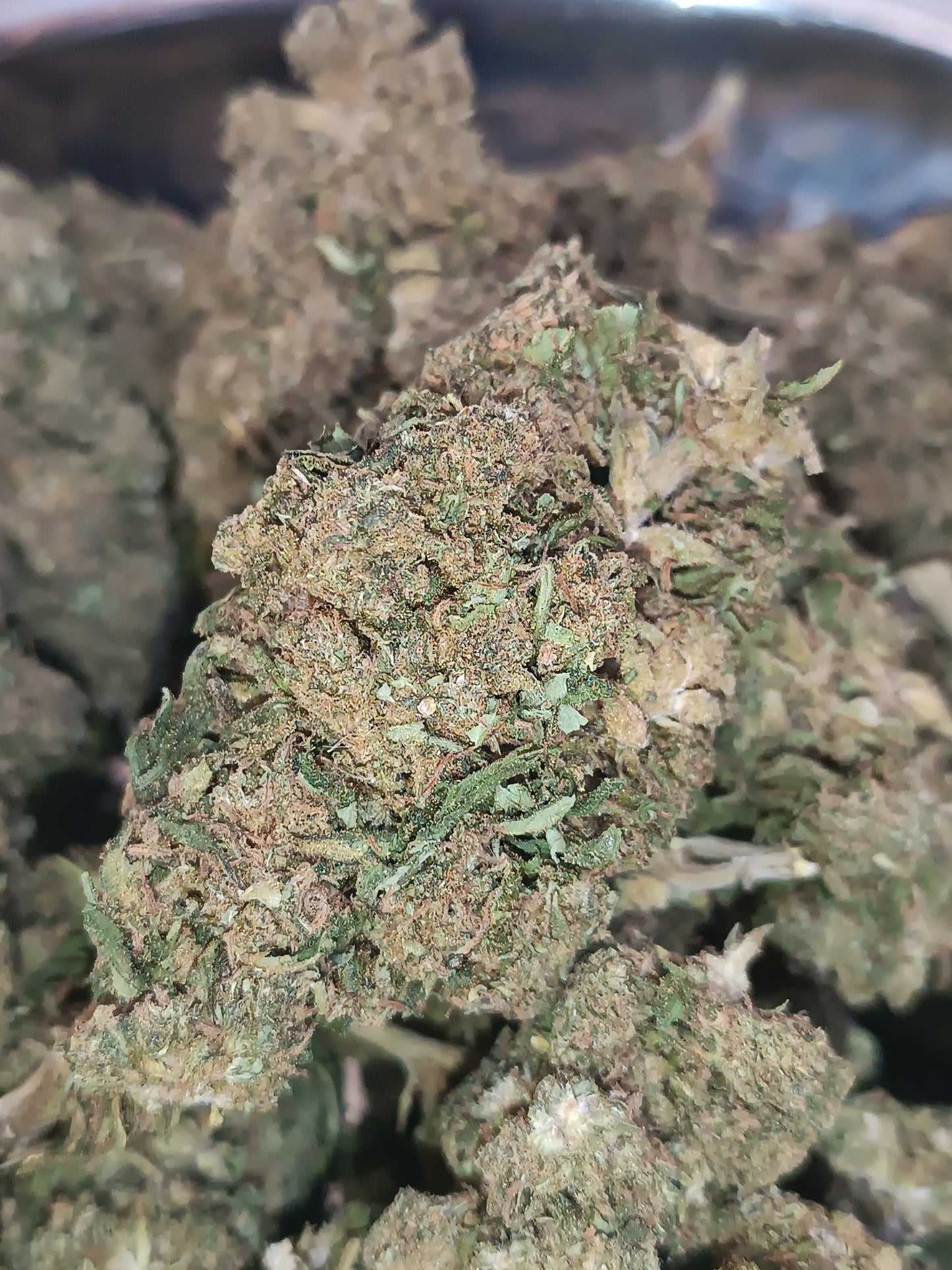 LIBERTY HAZE CBD- Indoor (en intérieur)