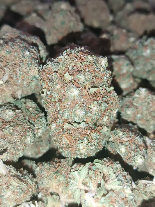 CALI ZKT CBD - Indoor Hydroponie (en intérieur)