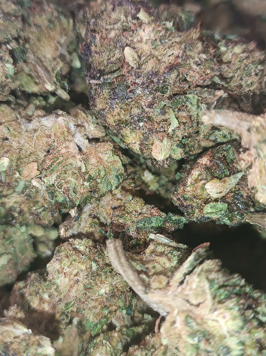Zkittles CBD - Greenhouse (sous-serre)