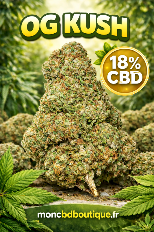 OG KUSH CBD - Glasshouse (sous-serre en verre)