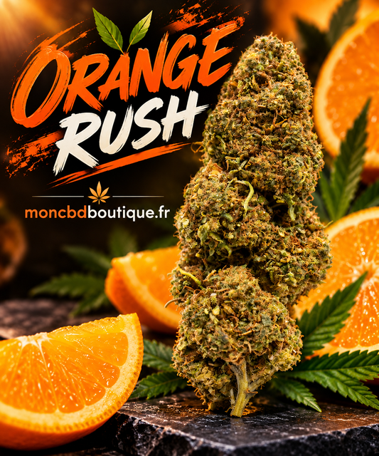 Orange RUSH CBD - Greenhouse (sous-serre )