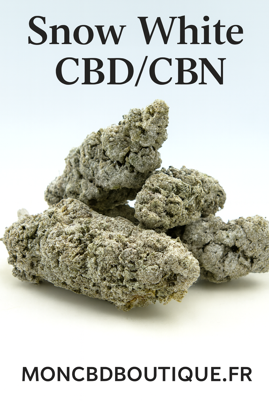 Snow White CBN - Greenhouse (sous-serre)