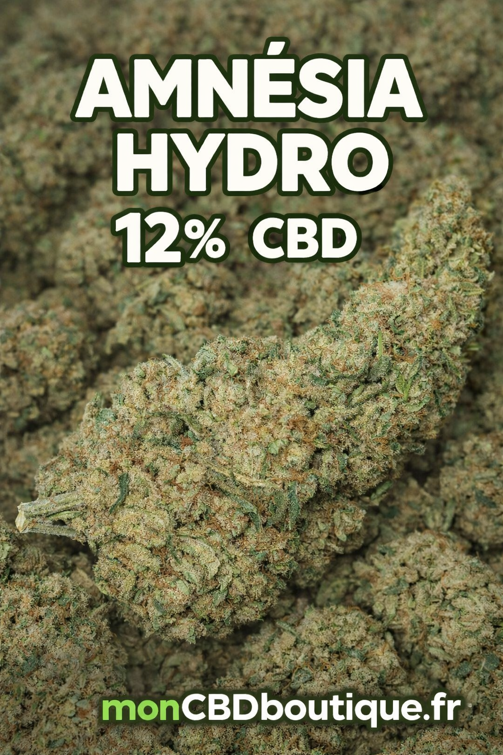 AMNESIA HYDRO CBD - Indoor Hydroponie (en intérieur)