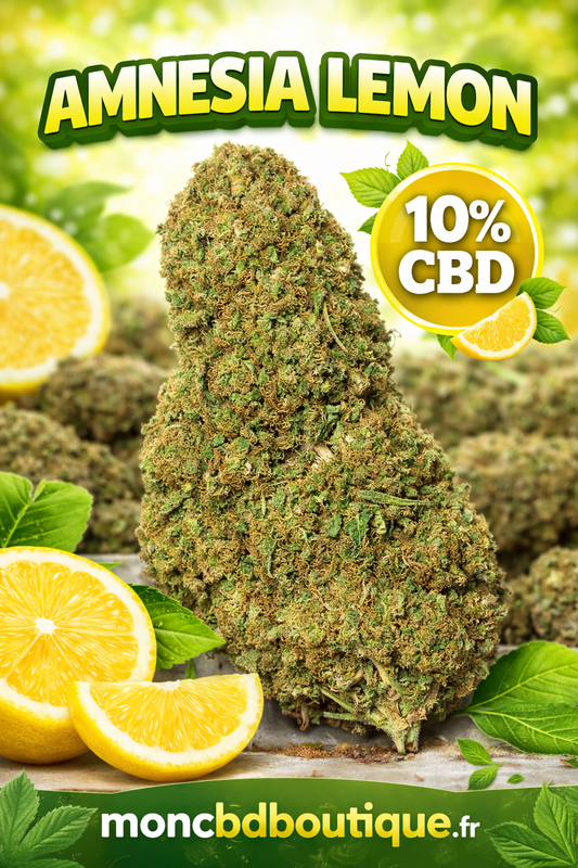 Amnesia Lemon CBD  - Greenhouse (sous-serre )