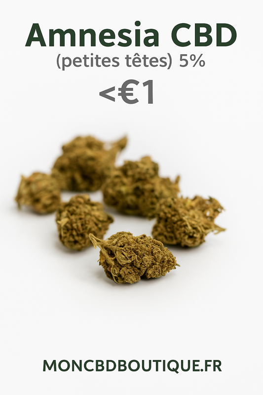 Amnesia CBD ( petites têtes) - Greenhouse (sous-serre)