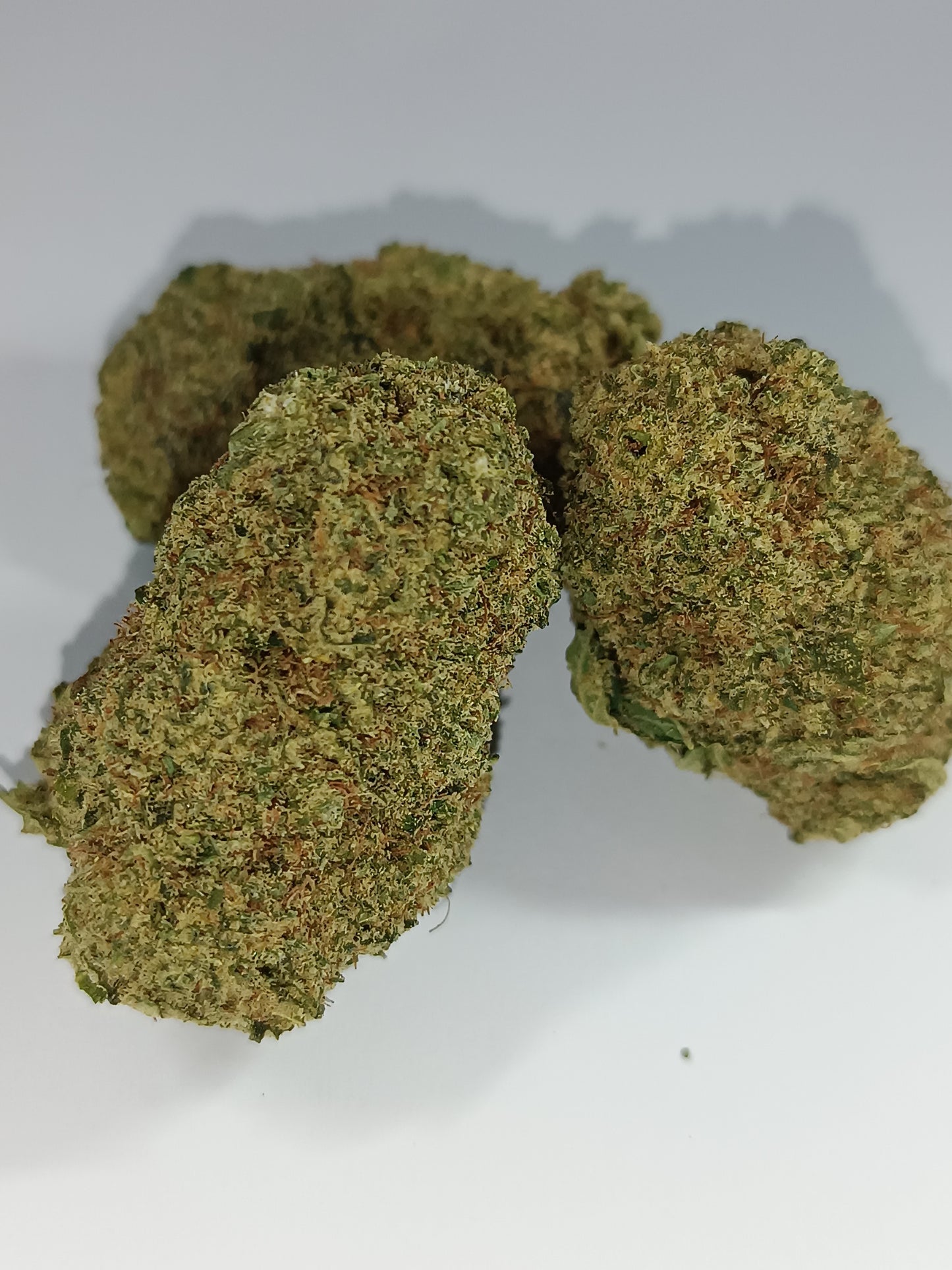 CALI CBD - Indoor Hydroponie (en intérieur)