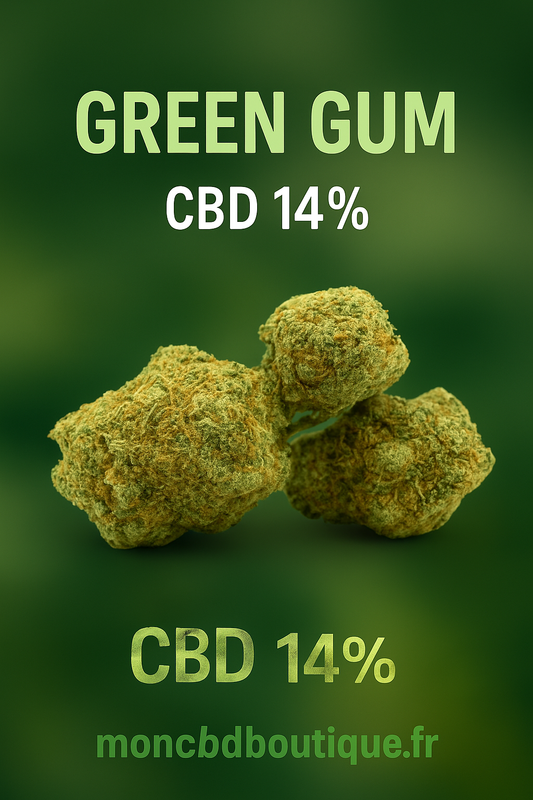 GREEN GUM CBD- Indoor (en intérieur)