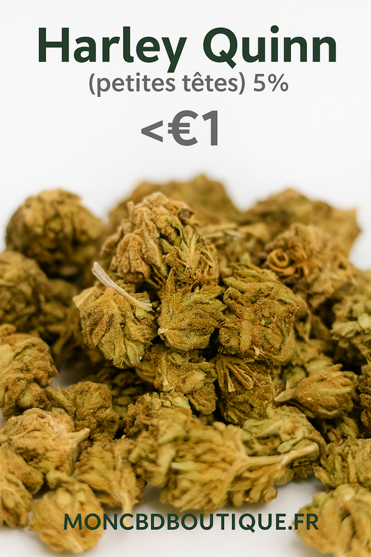 Harley Quinn CBD (petites têtes)-Greenhouse (sous-serre )