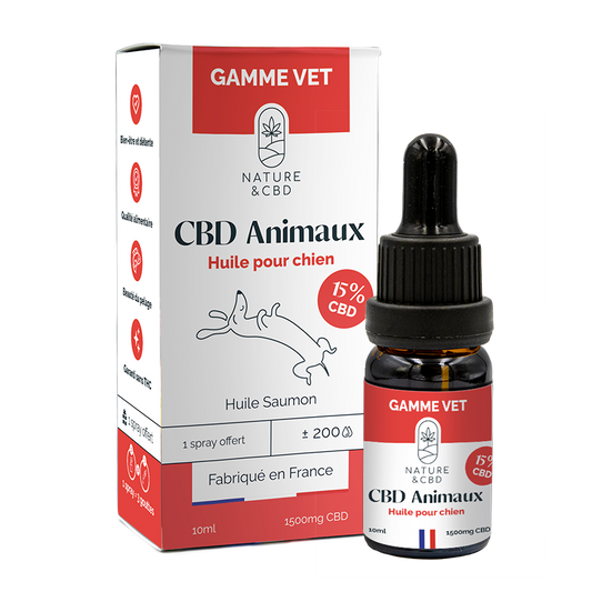 Huile CBD Animaux 15% - chien