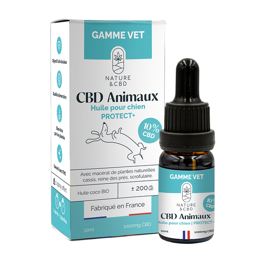 Huile CBD Animaux Protect+ 10% - chien
