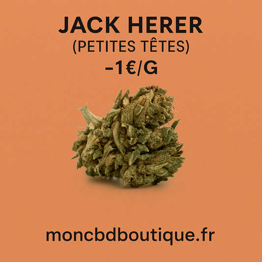 Jack Herer CBD(petites têtes)-Greenhouse (sous-serre )