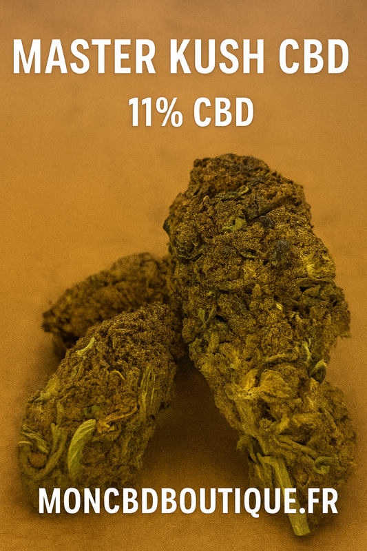 Master Kush CBD - Greenhouse (sous-serre)