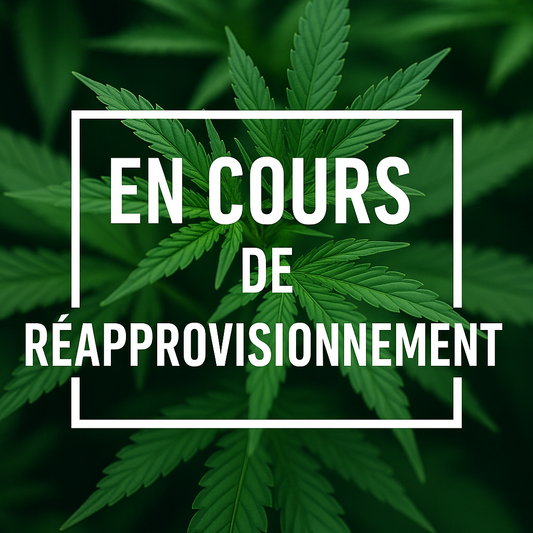 Tropical kush Cryo - Greenhouse (sous-serre)